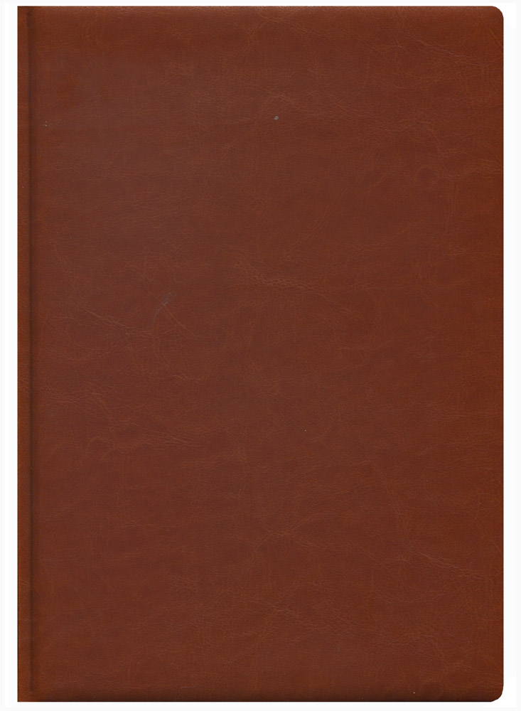 ежедневник датированный 2023. книга без надписей. обложка книги коричневая. кожа с переплетом текстура. коричневая обложка.