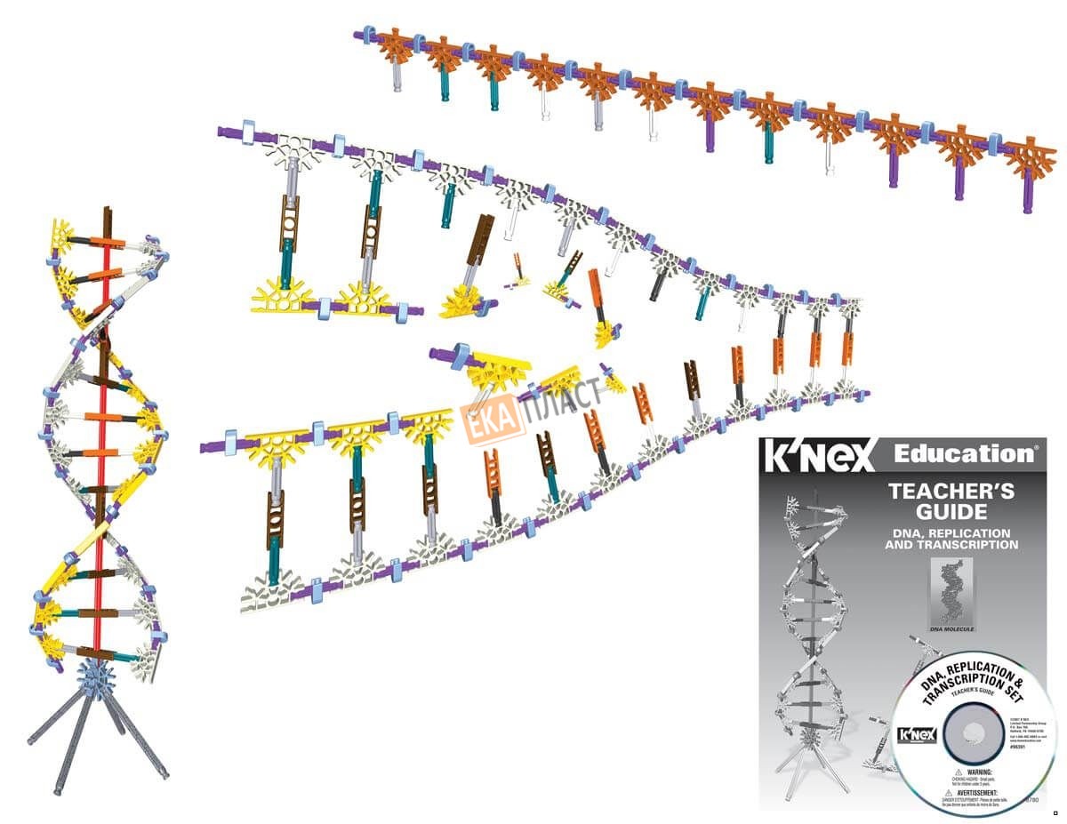 Набор днк. Конструктор k’NEX «набор ДНК, репликации и транскрипции»\ 78780. Комплект ДНК. 3n набор ДНК. ДНК наборы подарочные.